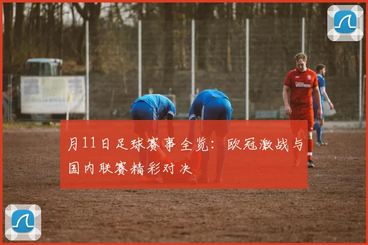月11日足球赛事全览：欧冠激战与国内联赛精彩对决
